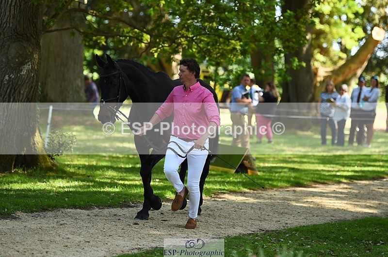 230524-154758-00509 - 363-RLE_KHALEESI_C-Christopher_Wincer-WEDTrotUp+DR