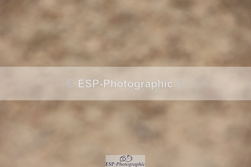 250621-134535-09221 - Cls 38 - FEI PSG