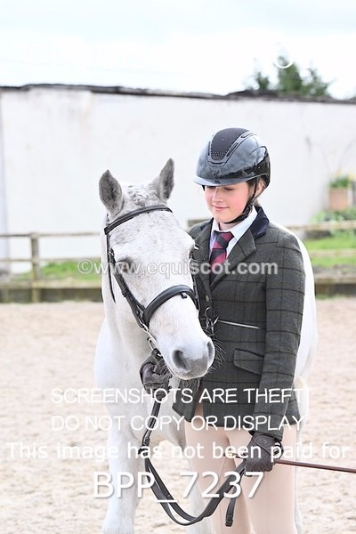 BPP_7237 - RING 1  (RIDDEN HORSES / IN HAND / VETERAN ETC)