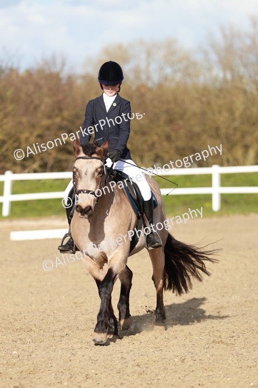 20260314-5385 - DR4 - Prelim 2