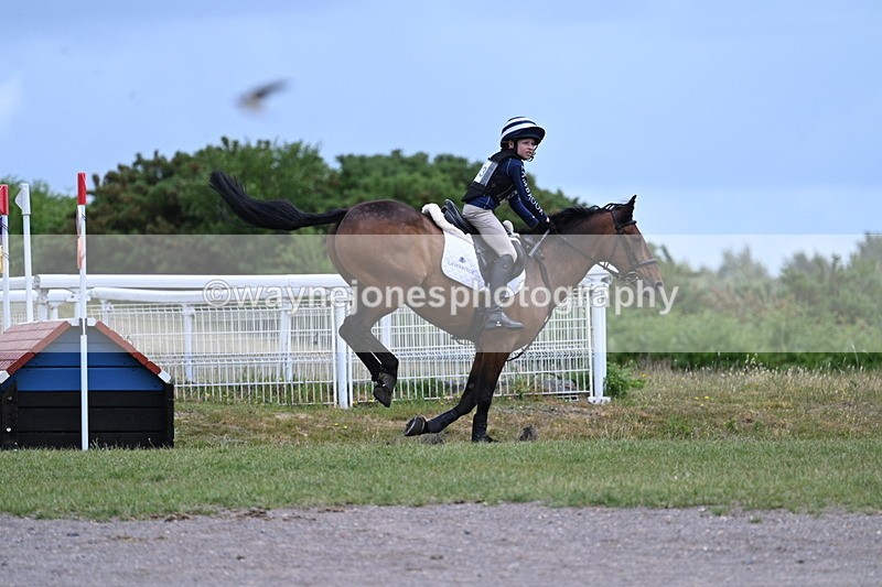 WJ7_7491 - Time 12:34 to 12:37