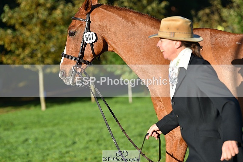 231022-093106-21850 - 607-RICO.III-Alison.Stewart-TrotUp+SJ