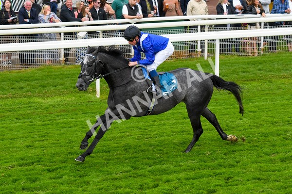 190523-Race 5-Mostabshir-0662 - Race 5 4.10pm Darley Novice Stakes