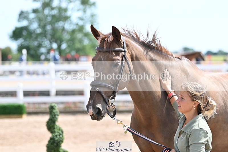 240717A-151140-02634 - Trot Up 3pm to 4pm