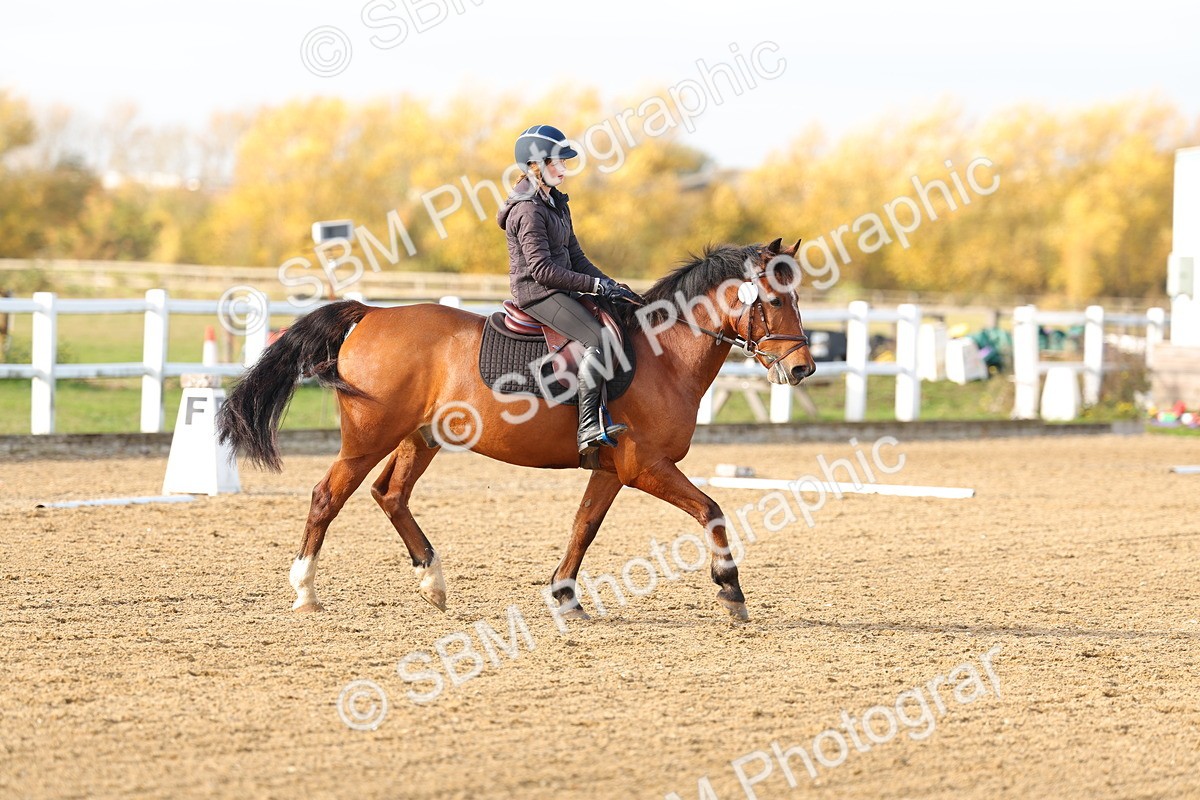 SBM_001201 - Class 13-4-9 - DR P3 CT P3 70cm CT PYO
