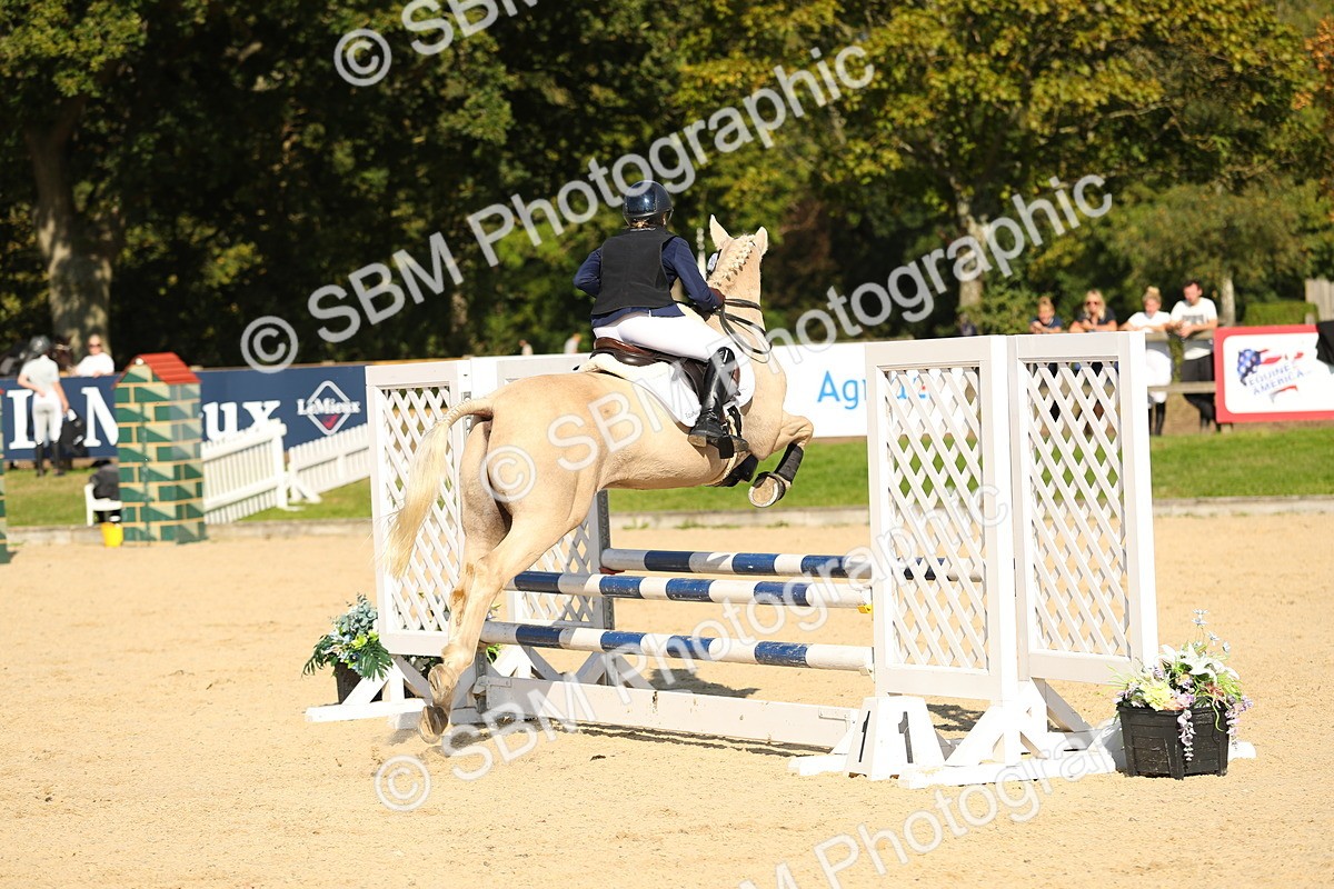 SBM_25927 - J46 - Accumulator 80 90cm