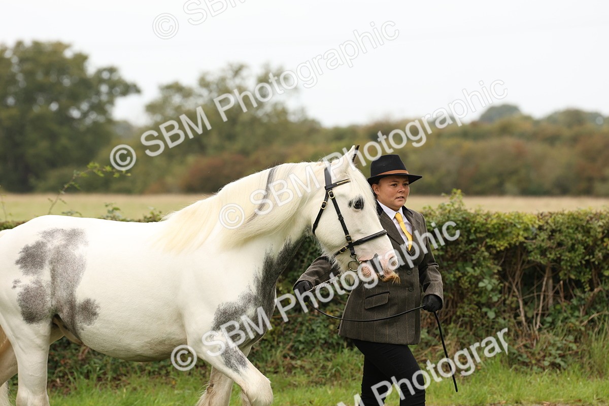 SBM_59219 - S57 - Traditional Cob In Hand