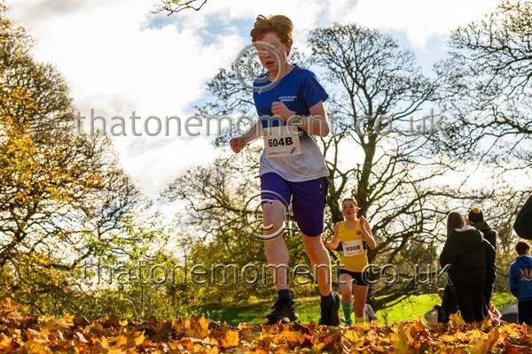 NatRel25-913718 - Young Female Set Two