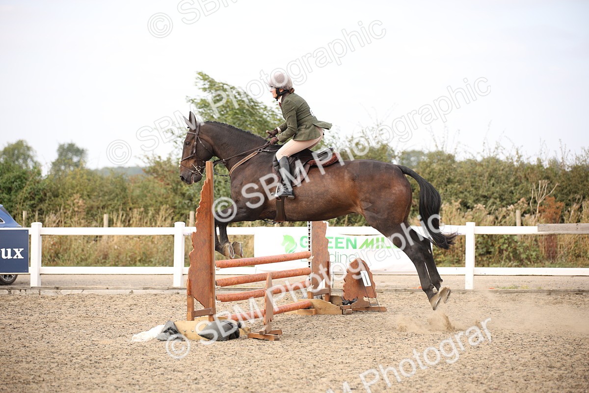 SBM_17337 - Class 410b - Working Veteran 90cm (20+)