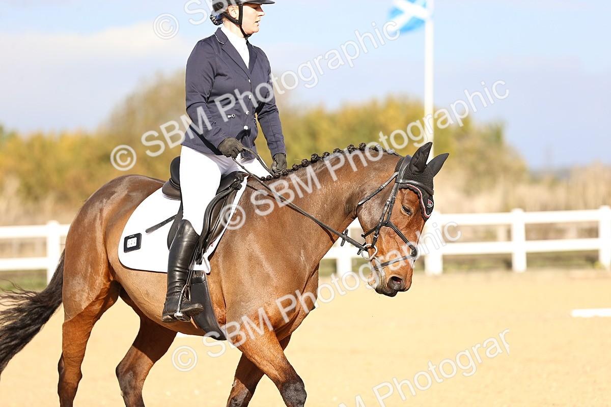 SBM_009173 - Class 2 - P5