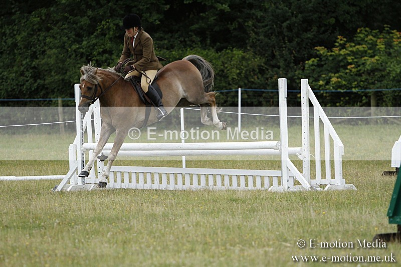 BVR160717-139 - Ring 3 BVRC Show 16/07/17