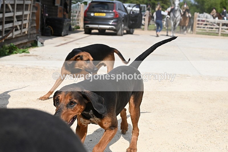WJ6_3152 - Berks & Bucks - The Old farmhouse - Hound Exercise 20-08-25