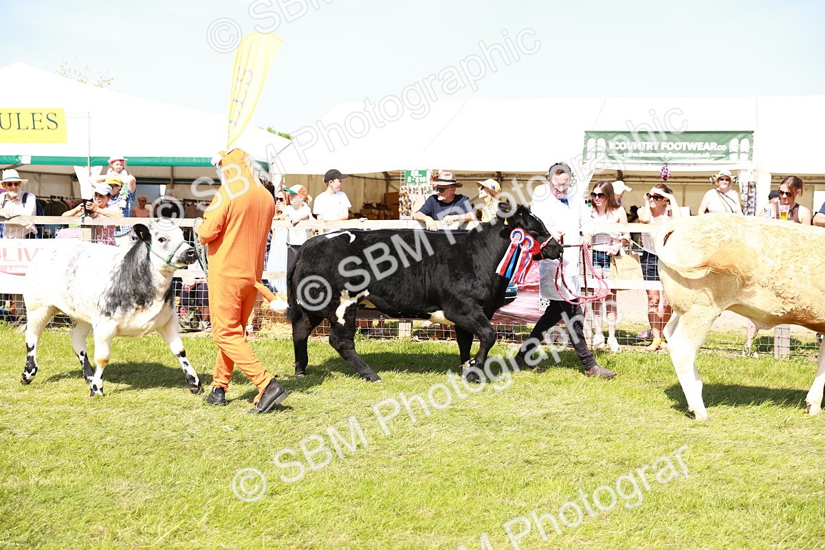 SBM_08338 - Grand Parade