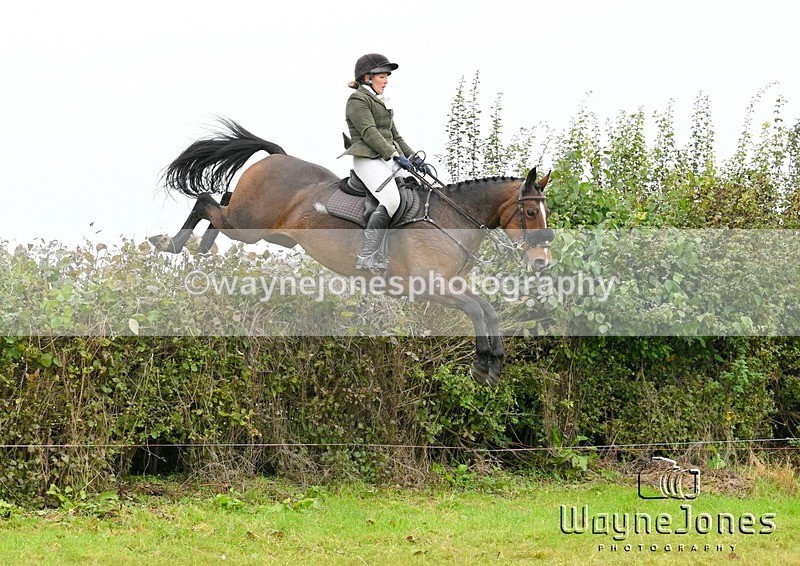 WJ7_4262 - Edited examples