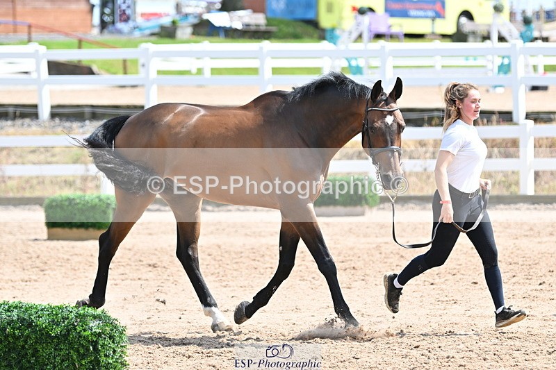 240717A-150055-02441 - Trot Up 3pm to 4pm