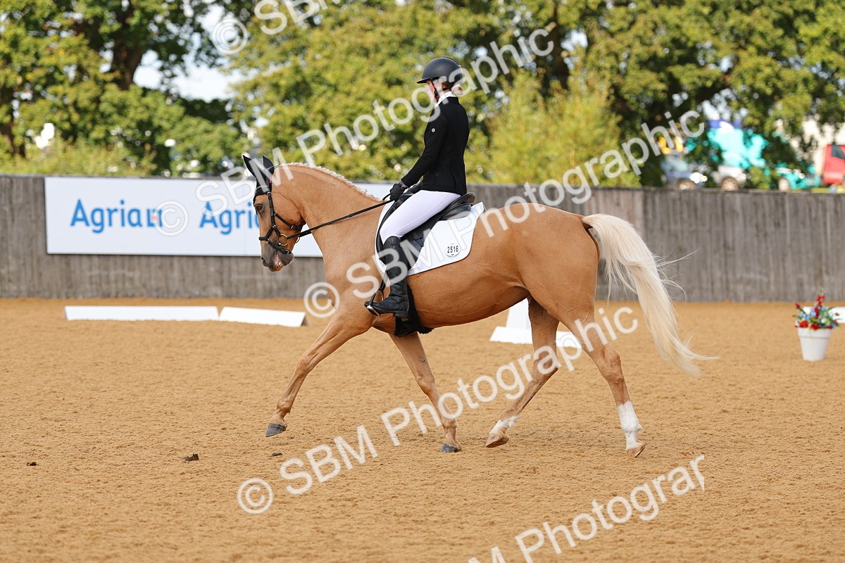 SBM_40283 - D14 - Grand Tour Championship - Prelim 14