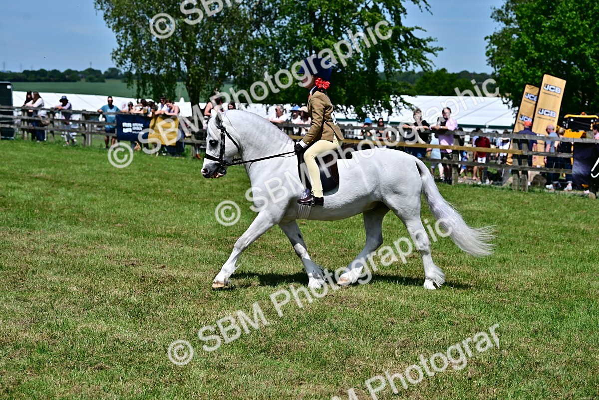 SBM_06087 - Class 59-60 - TSR M&M  Lear Rein and First Ridden Amateur of the year