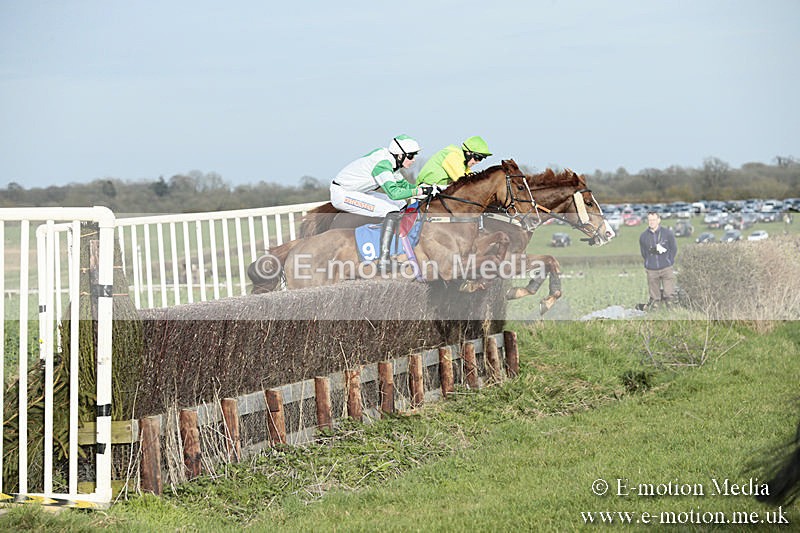 PtP 230319 469 - VWH Hunt Siddington Point-to-Point Racing 23/03/19