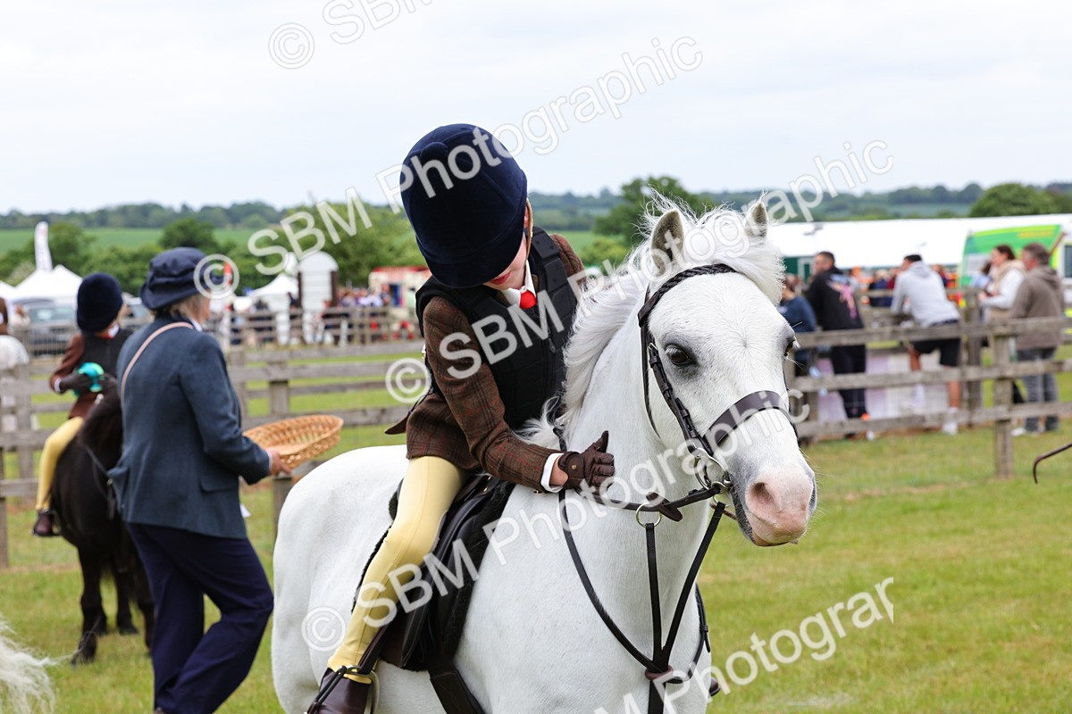 SBM_08869 - Class 42-43 - LIHS BSPS Heritage Working Sports Pony