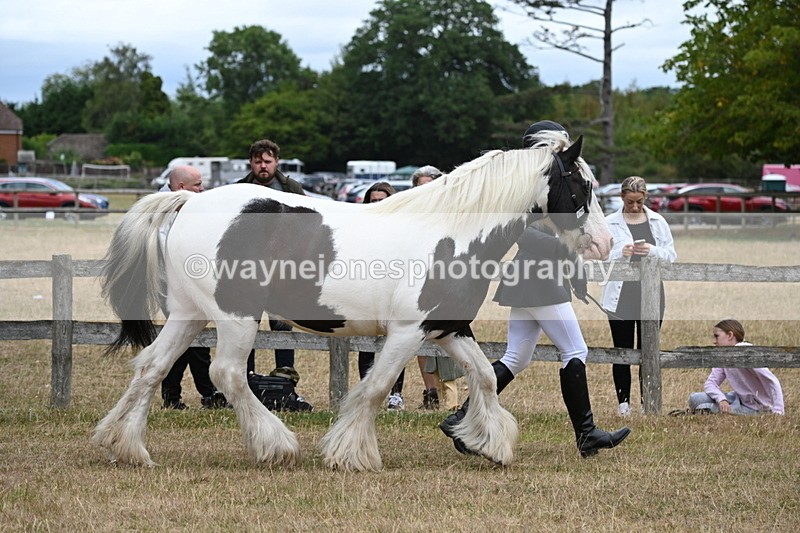WJ6_8353 - Class 10 Coloured in Hand