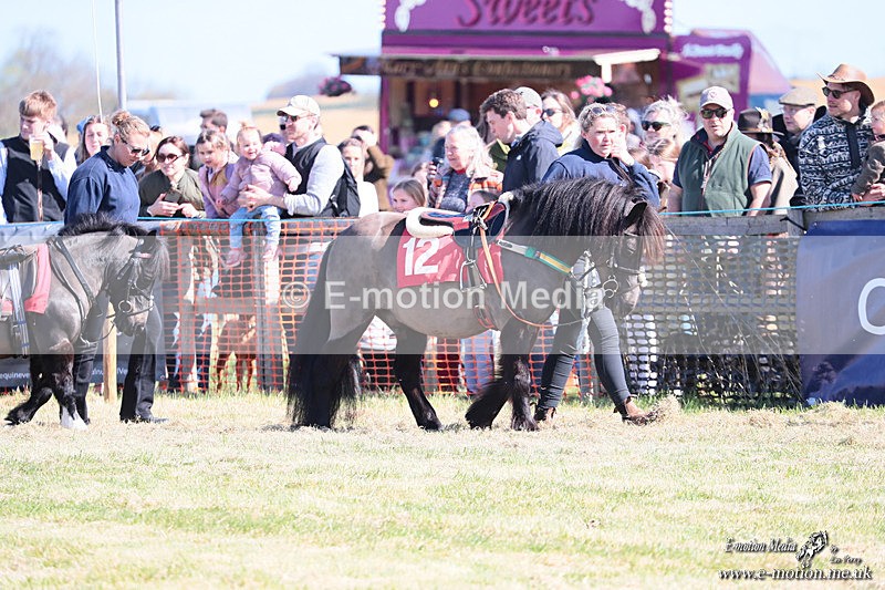 Shet 060426 22 - Shetland Pony Racing Paxford Races Easter Mon 06/04/26