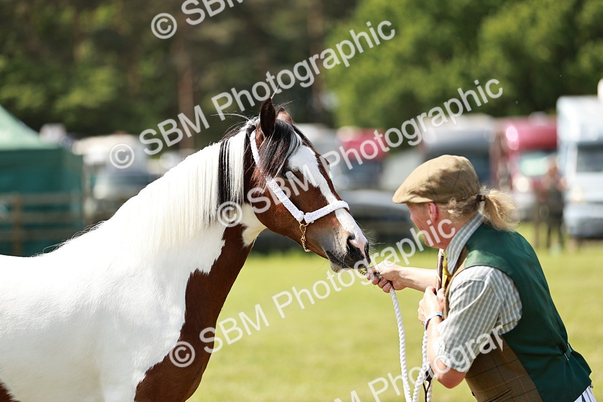 SBM_04183