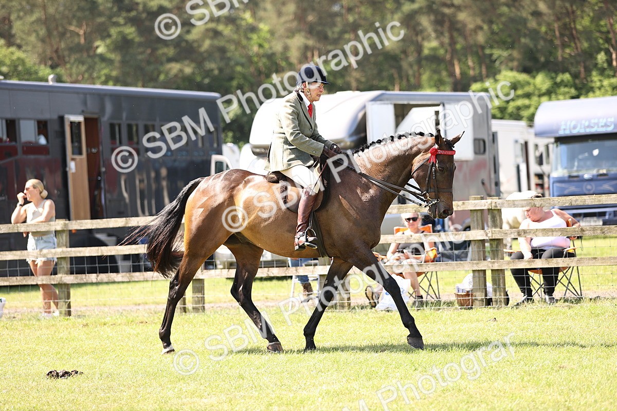 SBM_13086 - Class 75-76 LIHS BSHA Rising Star Hack Riding Horse