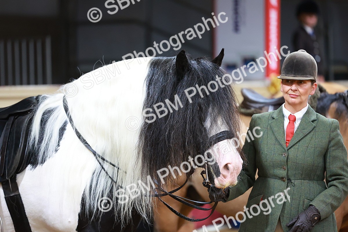 SBM_09557 - Class 102 - HOYS Veteran Qualifier - Ridden Veteran
