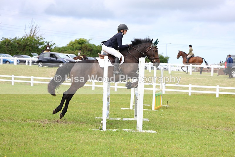 3E7A7693 - Class 13: Senior British Novice/90cm open