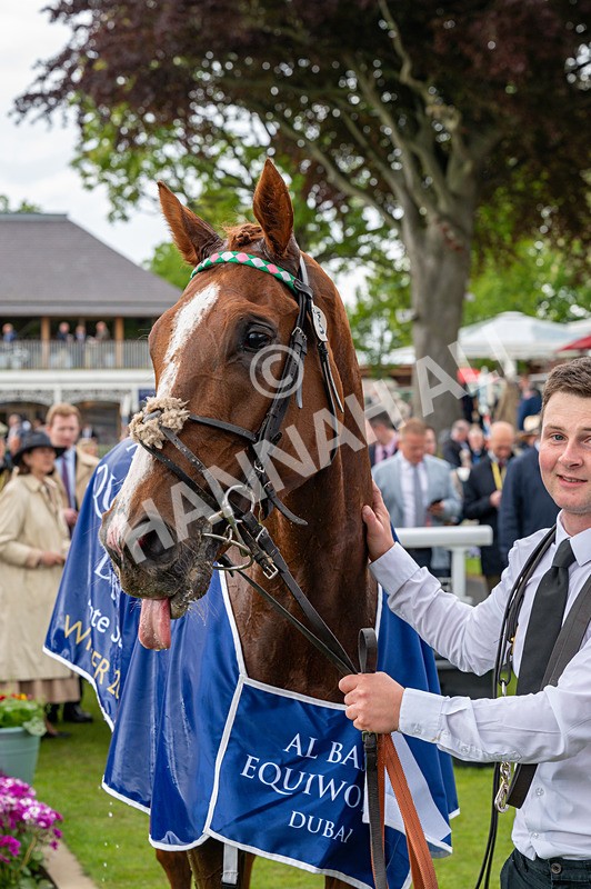 140526-Race 5-Item-1511 - Race 5 4.05pm Al Basti Equiworld Dubai Dante Stakes