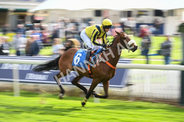 yr12052022r7-15 - Race 7 5.15pm Fidomoney Stakes