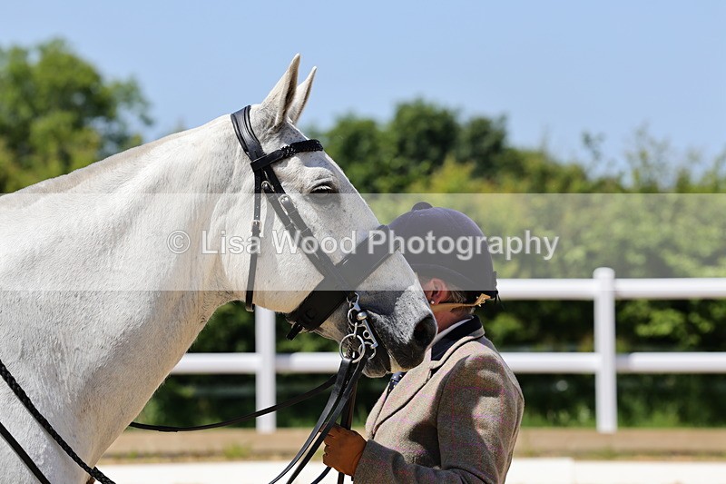 1X9A1761 - Class 11: Ridden Cob