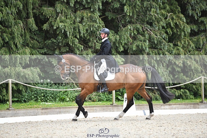 230525-151232-03207 - 325-LONESTAR-Thomas_Hawke-WEDTrotUp+DR