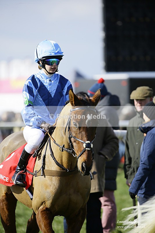 PtP 060322 57 - Blackmore & Sparkford Vale Hunt PtP 06/03/22
