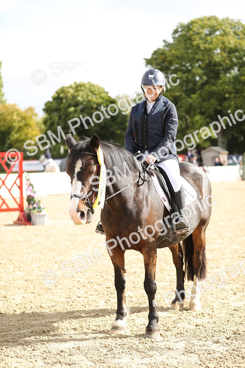 SBM_02050 - J34 - Veteran Rider 50cm