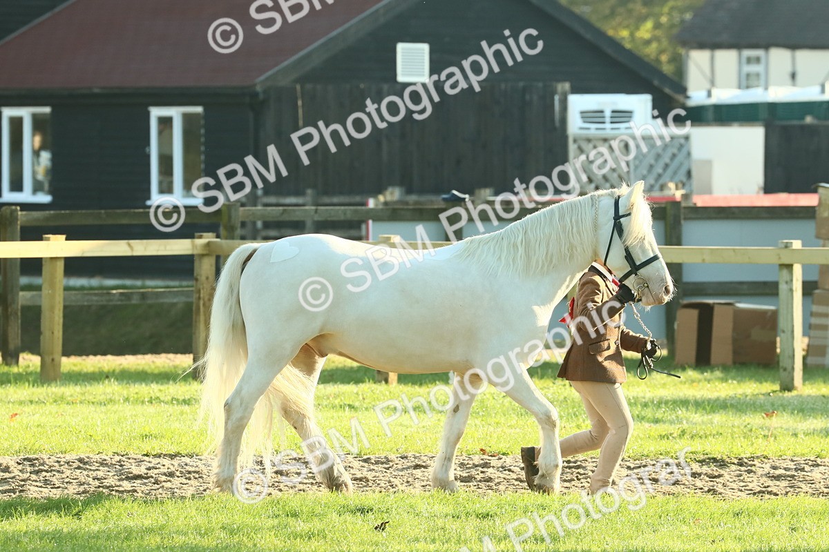 SBM_57373 - S37 - Starters In Hand Showing