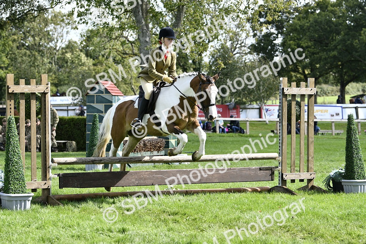 SBM_45690 - S33 - Working Hunter Pony