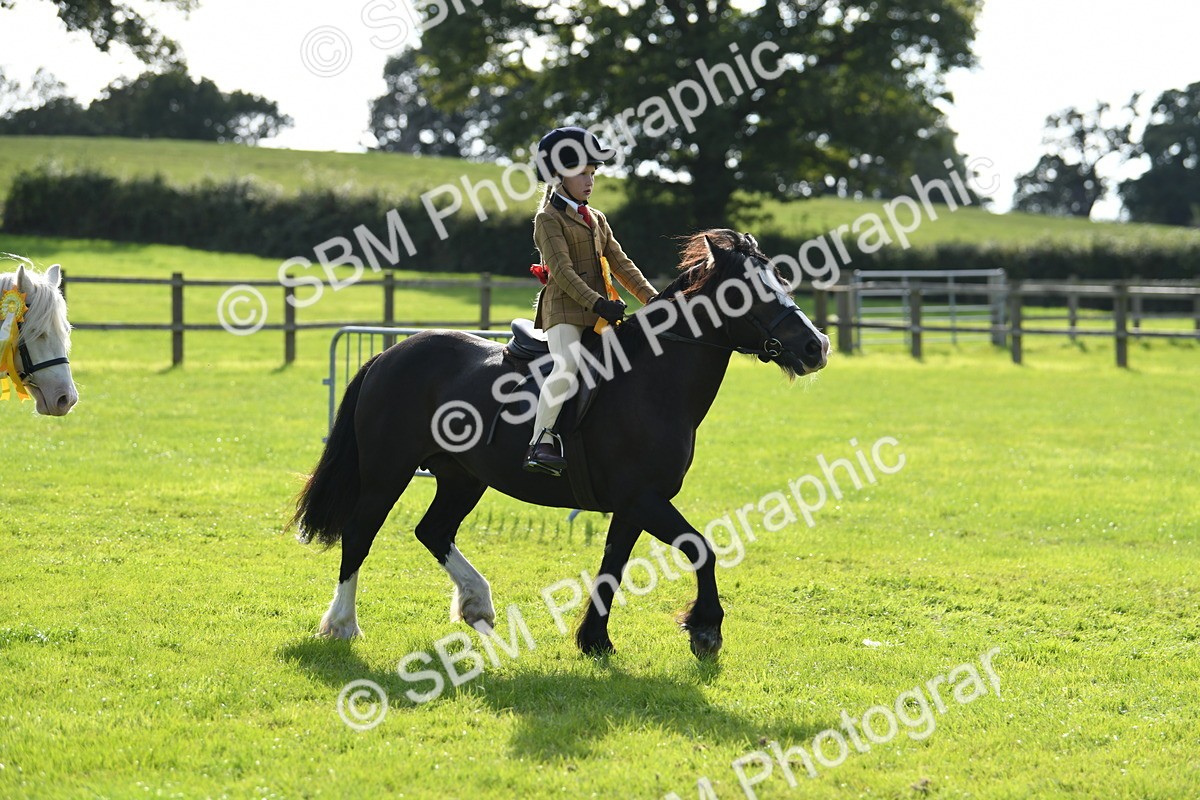 SBM_50533 - S21 - Novice & Newcomers 1st Ridden Pony