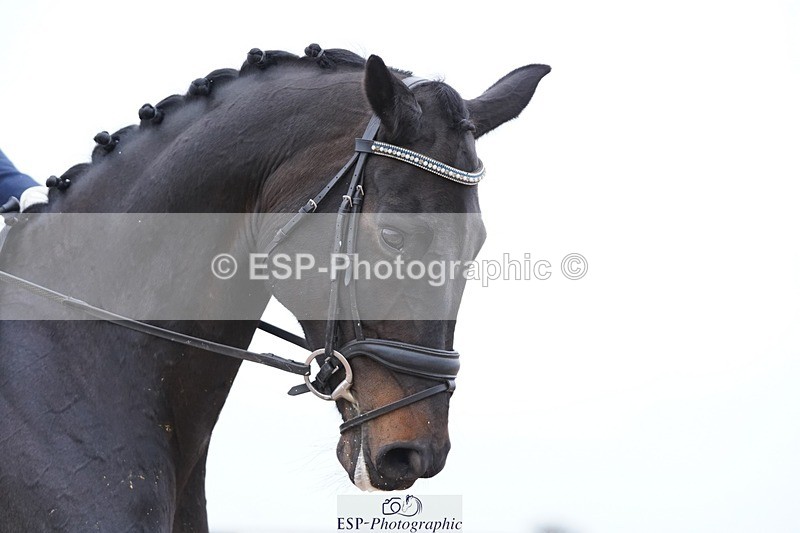 250403-160916-03248 - 003-Abbie.Newbury-Seagry.Firstamour