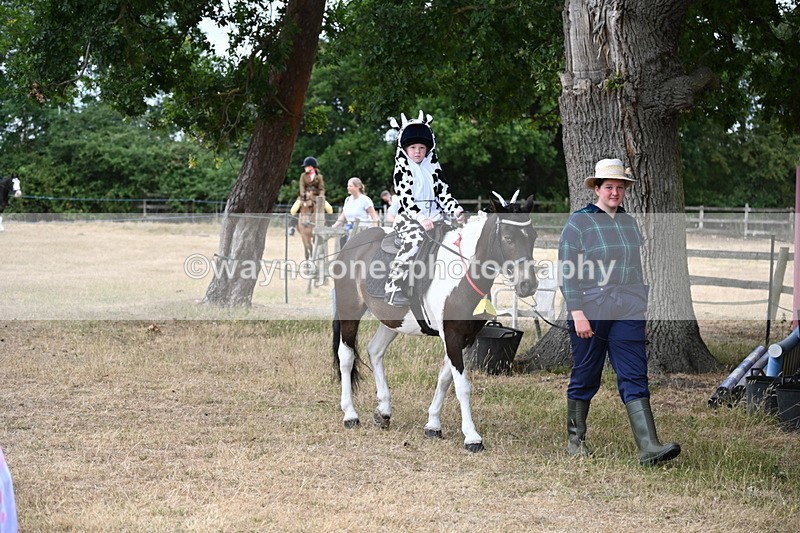 WJ6_8918 - Class 11 Fancy Dress