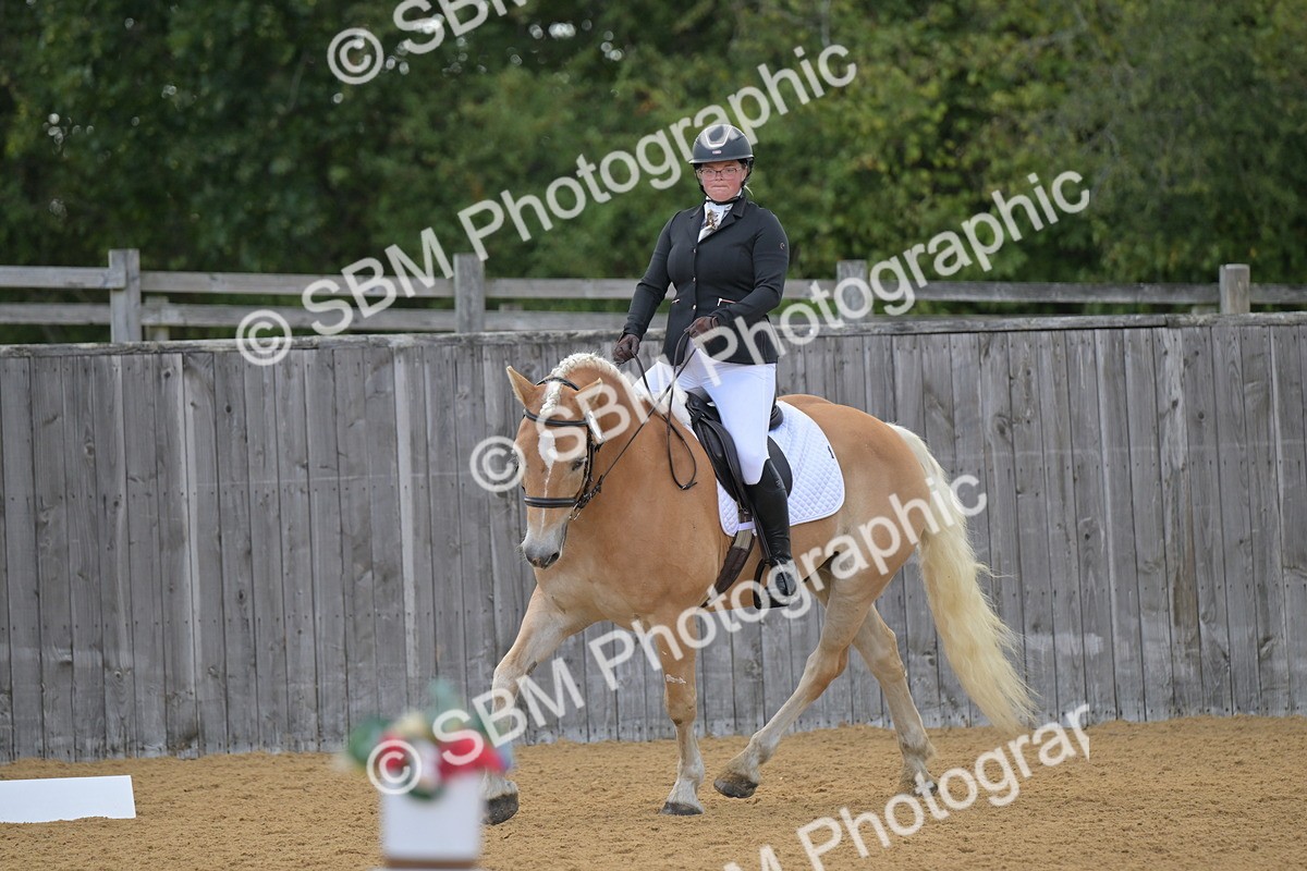 SBM_11156 - D3 - Small Tour Championship Intro 3