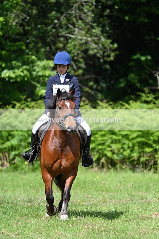 WJ7_1184 - Class 11 Condition & Turnout