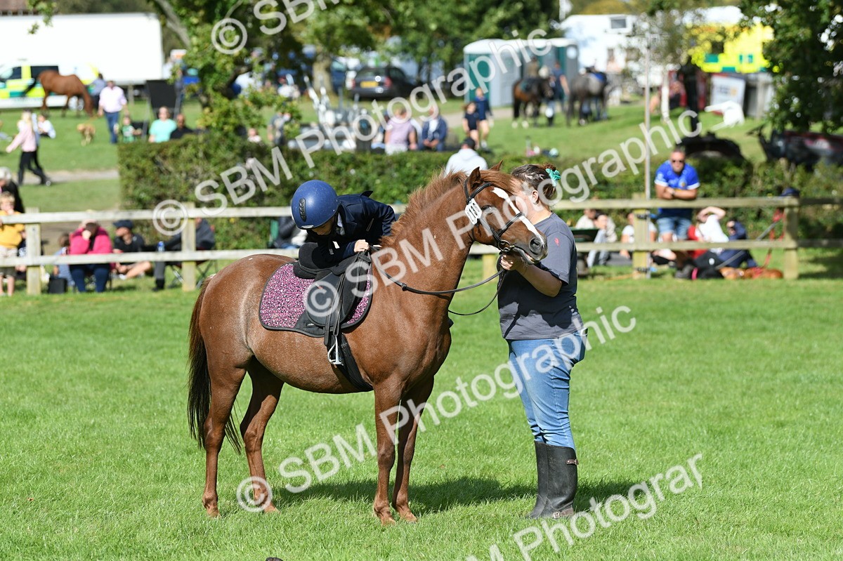 SBM_47155 - S12 - Family Horse & Pony
