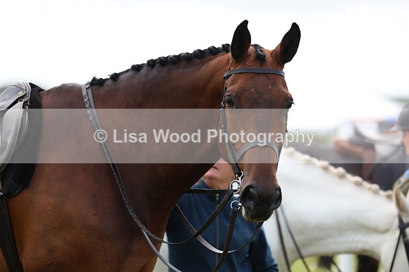 3E7A1574 - Class 9: Open Hunter