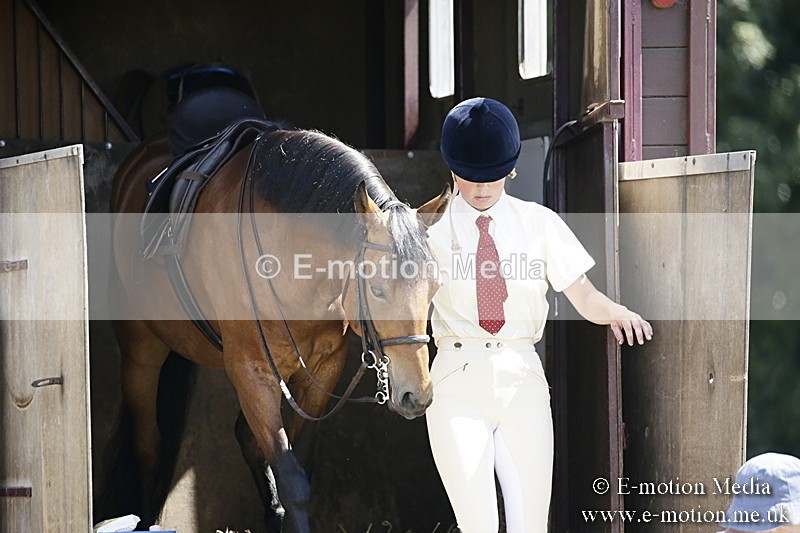 LP220718-3 - Roving Camera BVRC Show 2018