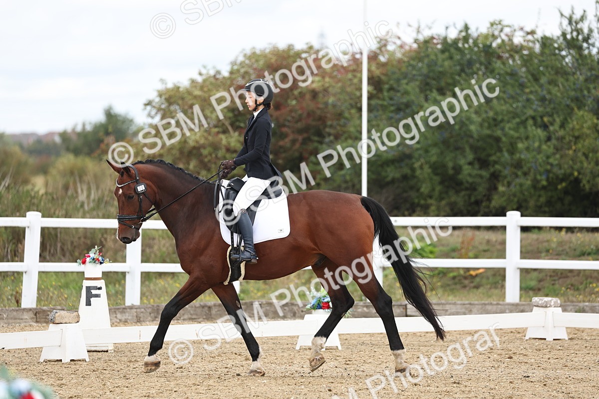 SBM_002510 - Class 7 - Novice 2 Warm Up