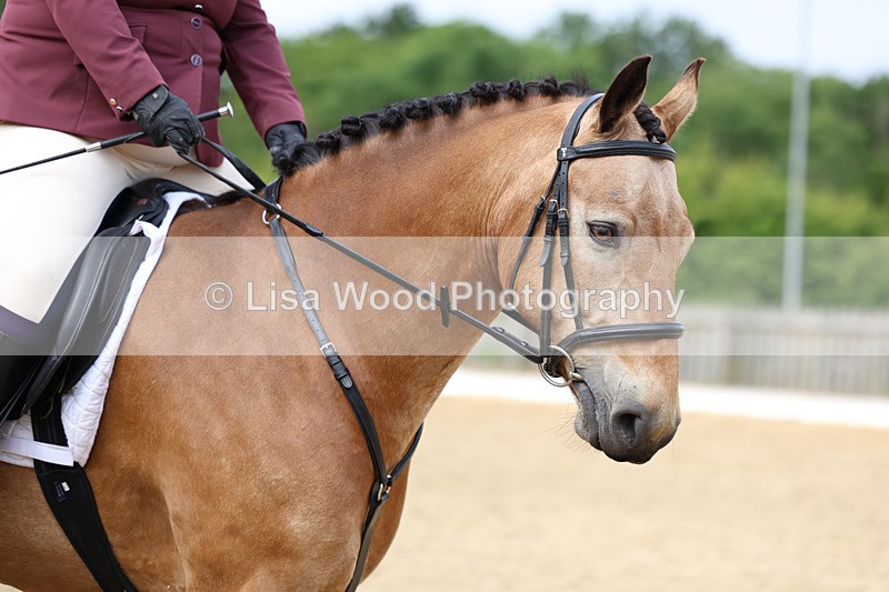 3E7A9137 - Class 2: Intro 1 2024 Section B