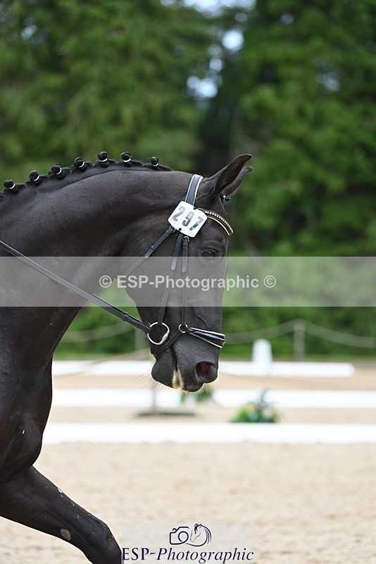 230813-170020-08537 - Cls 14 Medium Silver 16.45 to End