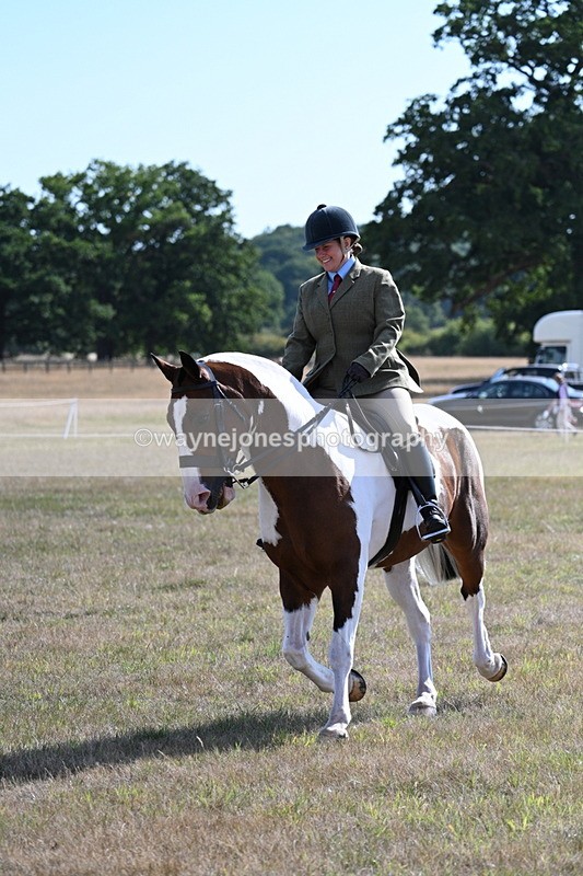 WJ7_2833 - Class 8 Ridden Tack & Turnout