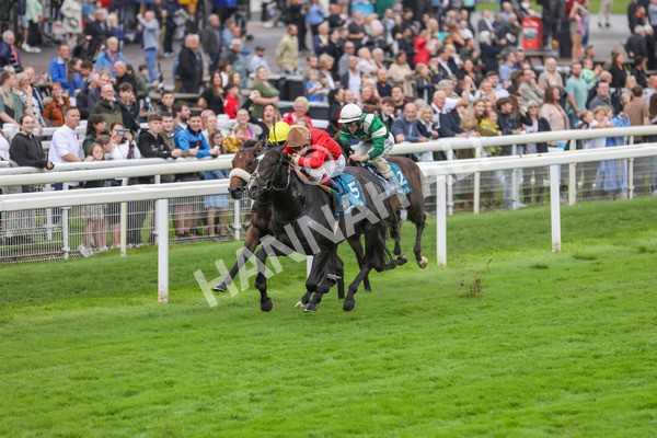 080924-Race 3-Brighton Boy-4403 - Race 3 2.50pm Irish Thoroughbred Marketing Nursery Handicap